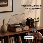 Celin Record Player