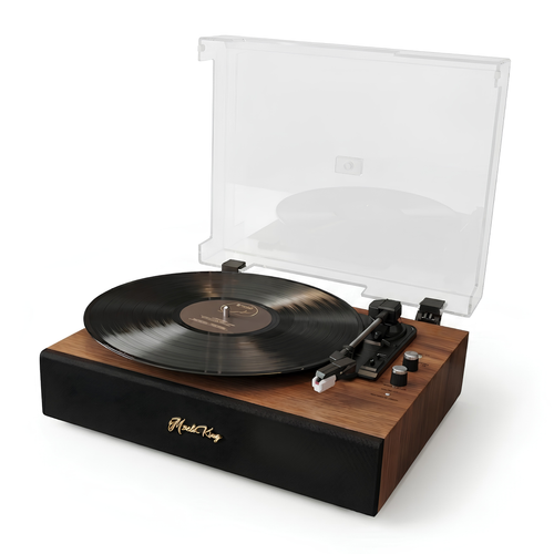 Enova Turntable
