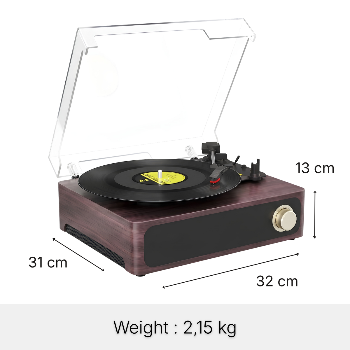 Sanel Record Player