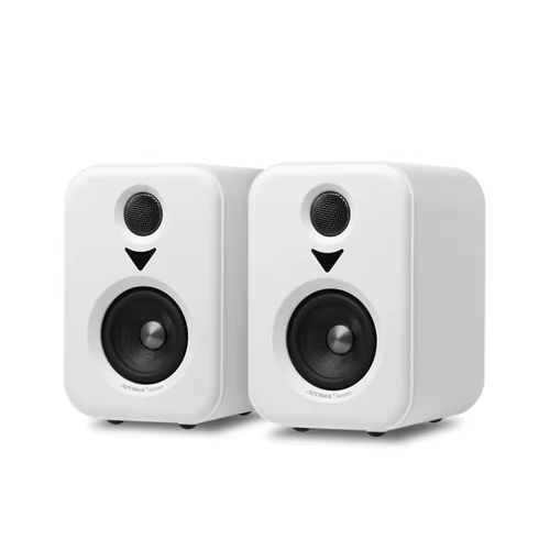 Active Bluetooth Speakers 100W